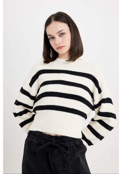 DeFacto Regular Fit Çizgili Bisiklet Yaka Triko Kazak	 R1285AZ24CWBK27