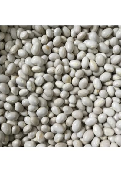 Şeker Fasulye Oturak 100 Gr
