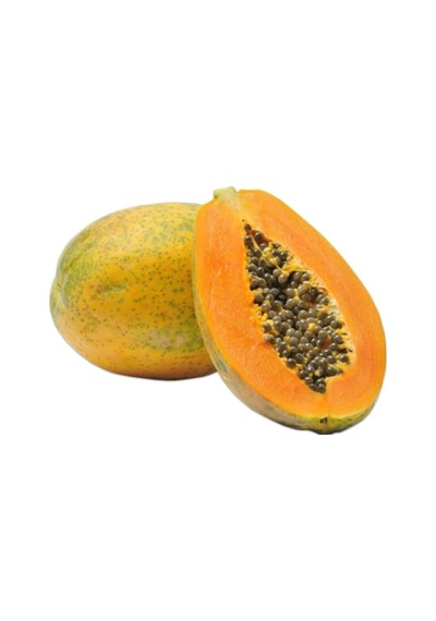 Bodur Saksılık Papaya Ağacı Tohumu 3 Adet Tohum