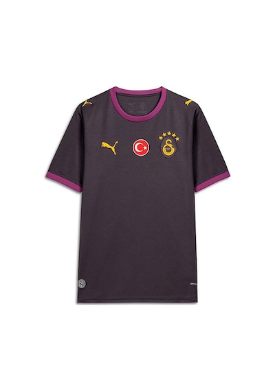 Puma Galatasaray 26/27 Erkek Deplasman Gri Forma