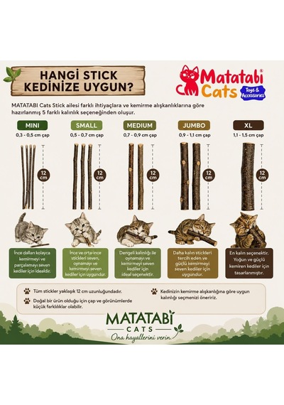 Ayrex Kedim İçin Matatabi Stick Ve Matatabi Oyuncak Seti 5 Parça