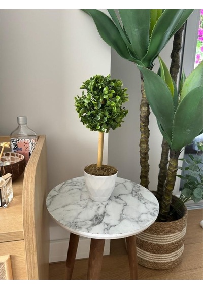 Yapay Ağaç Şimşir Top Tek Toplu 12x31cm Beyaz Saksıda