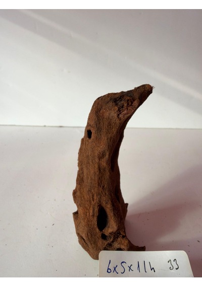 Mangrow Kökü No:a33 6x5x11h