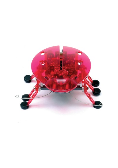 Hexbug Böcek - Pembe