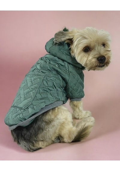 Kemique Green Comfie Köpek Montu Ceketi Köpek Dış Giyim