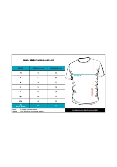Startmore Attack On Titan Baskılı Penye T-shirt Siyah