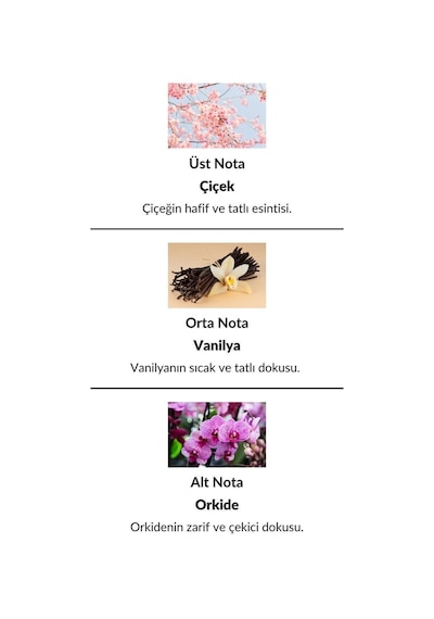 Alescia St-121 Kadın Parfüm EDP 50 ML