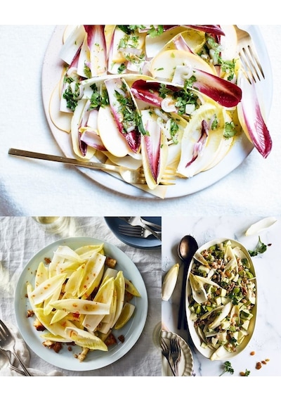 Sugar Loaf Endive Tohumu Hindiba