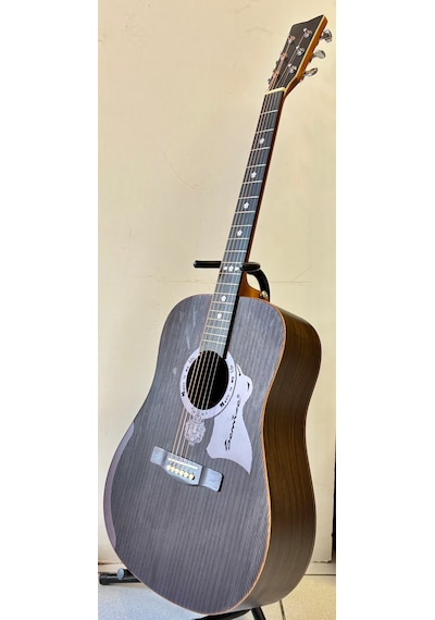 Profesyonel Akustik Gitar