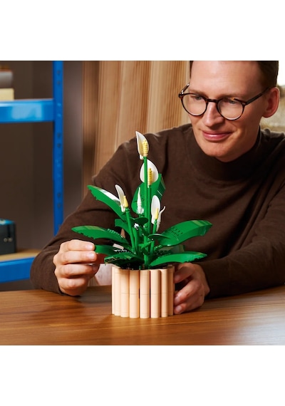 LEGO® Botanicals Barış Çiçeği 11504 - Yetiskinler için 6 Baris Çiçegi Içeren Koleksiyonluk Dekoratif Model Yapim Seti (474 Parça)