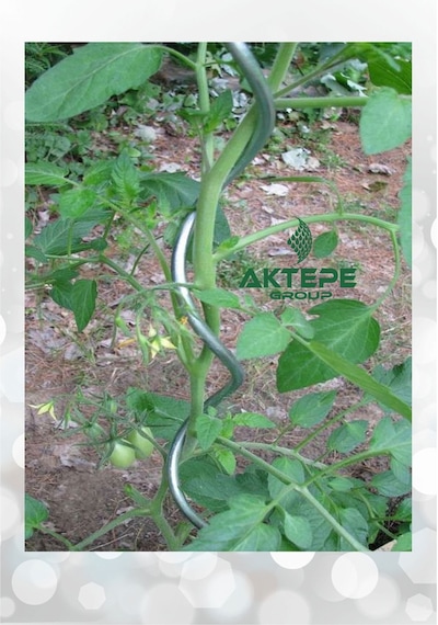 10 Adet 150 Cm Spiral Bitki Destek Çubuğu Sarmal Çiçek Teli Fidan Teli
