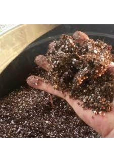 3 L Zengin Karışım Bonsai Ağacı Tohumu