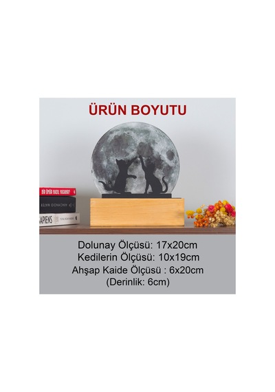 Led Işıklı Pleksi Dolunay Kişiselleştirilebilir Dekoratif Biblo Harvey Kediler Anahtar Askılığı Gri - 737322722 Gri