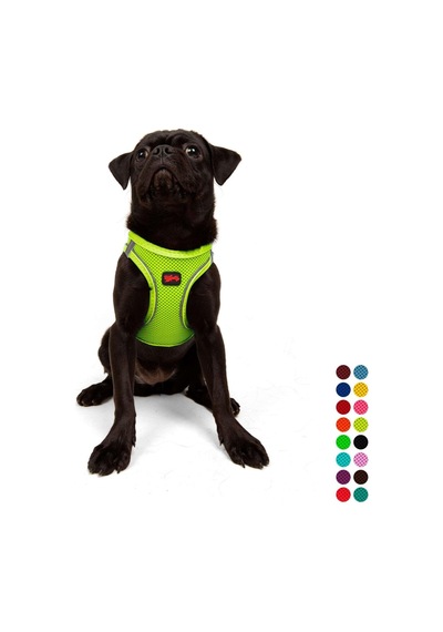 Tailpetz Air-mesh Küçük Ve Orta Irk Kedi Köpek Göğüs Tasması - Yumuşak, Nefes Alabilir, Dayanıklı Neon-sarı, Medium Sku: Zeusb0829cz73j Açık Bej - Bej