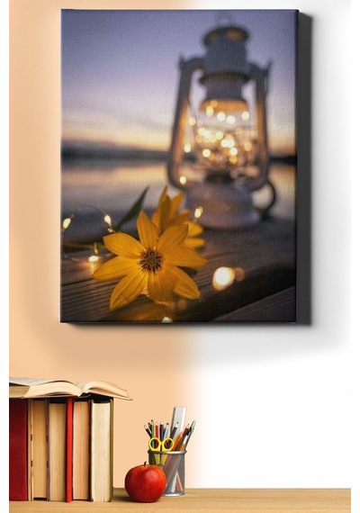 Webstyle Sayılarla Boyama Seti Kasnaklı Çiçek Ve Fener 50 X 65 Cm