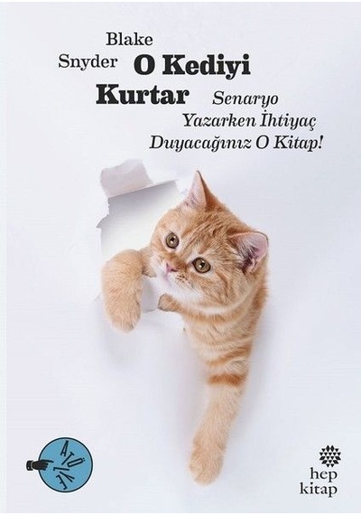 O Kediyi Kurtar Senaryo Yazarken İhtiyaç Duyacağınız O Kitap