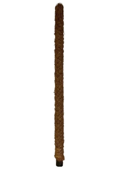 Yosun Bitki Destek Çubuğu 80 Cm Diğer