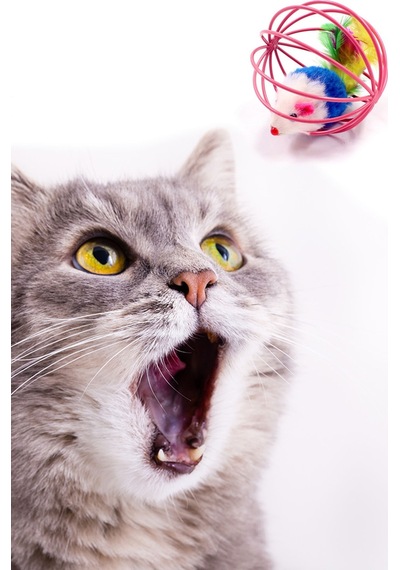 Kedi Oyuncağı Top Içinde Peluş Fare Hareketli Kedi Oyuncağı