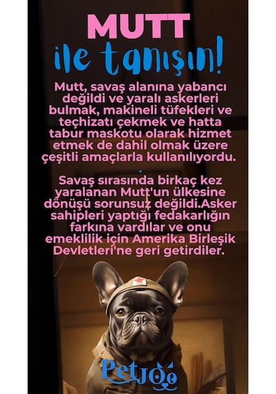 Petjoo 10.Mutt Mavi-Pembe Qr'lı Köpek Künyesi