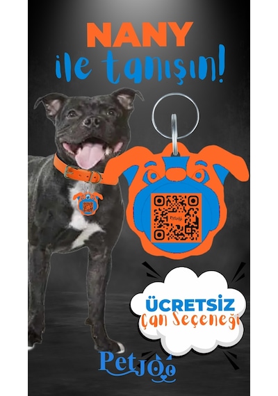 Petjoo 17.Nany Mavi-Turuncu Qr'lı Köpek Künyesi