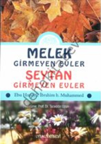 Melek Girmeyen Evler  - Şeytan Girmeyen Evler  - Ebu Huzeyfe İbrahim B. Muhammed  - Uysal Yayınevi