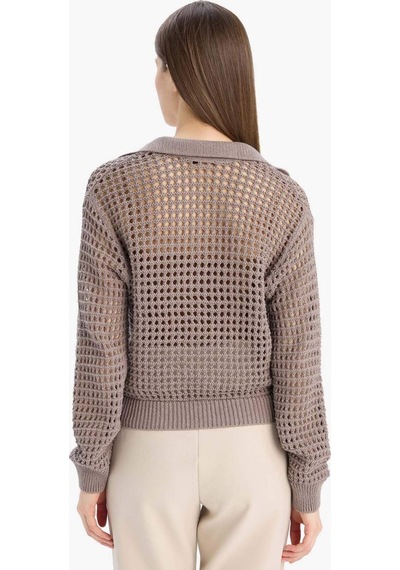 DeFacto 	Relax Fit Polo Yaka Basic Düz Ajur Triko Kazak E7025AX25SMBG487 Bej