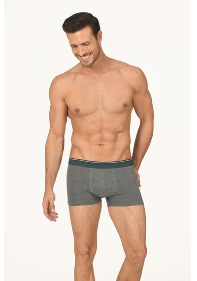 NBB Erkek Gri Melanj Boxer