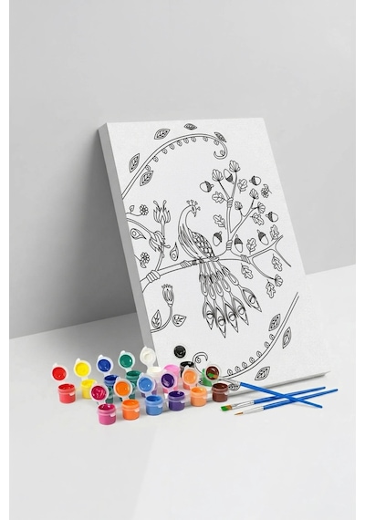 Tavus Kuşu Desenli Mandala Tuval Boyama Seti 40x50 Cm
