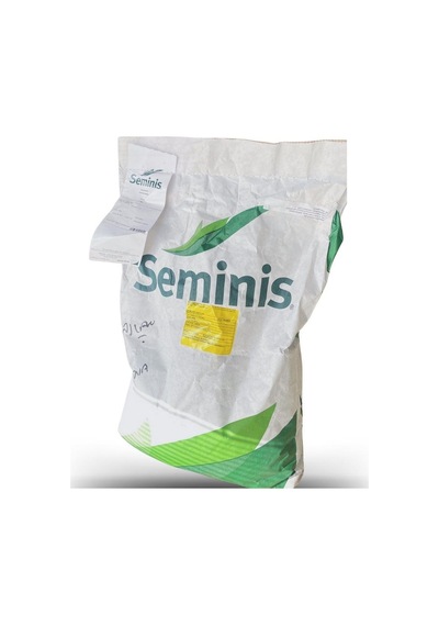 Seminis Ribera Oturak Fasulye Tohumu 1 Kg