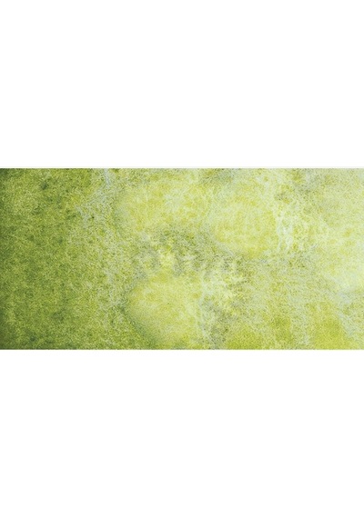 Horadam Aquarell Supergranulation Shire Olive 15 Ml