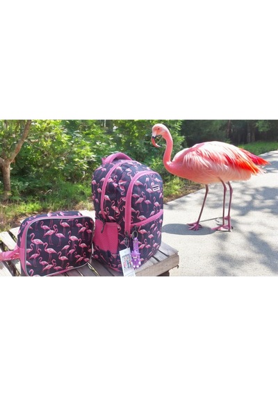 Flamingo Bahçesi Okul Çantası Ve Beslenme Çantası Çok Renkli