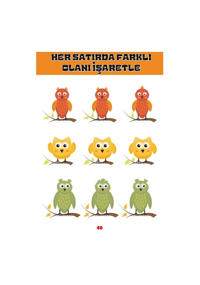 Okul Öncesi Akıl Ve Zeka Oyunları Yaz-sil Kitabı