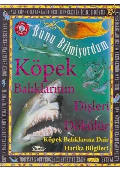Köpek Balıklarının Dişleri Dökülür - Bunu Bilmiyordum - Flowerpot Press - Teleskop Popüler Bilim
