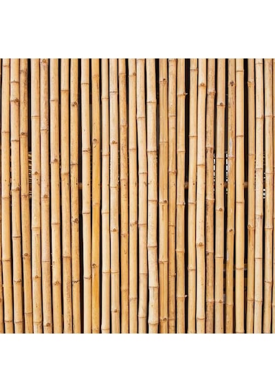 Bambu Sopası 210 cm 19-20mm Bambu Çubuğu 5 ADET