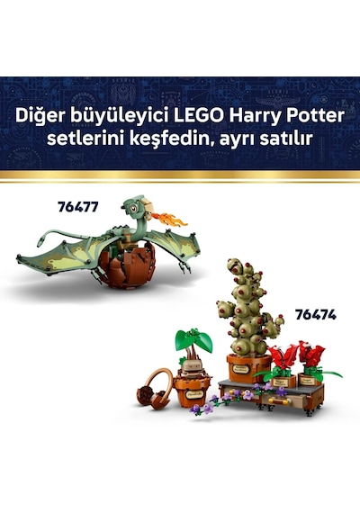 LEGO® Harry Potter™ Özgür Ev Cini Dobby™ 76469 - 8 Yaş ve Üzeri Çocuklar için Aksesuarlar İçeren Oyuncak Yapım Seti (379 Parça)