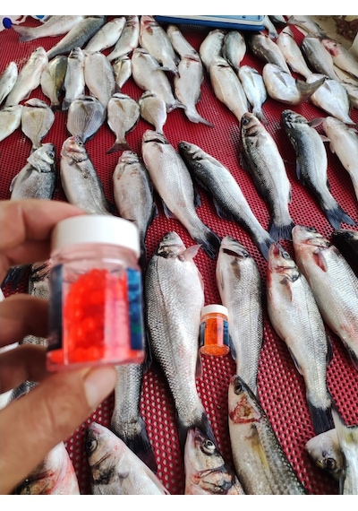 Renatbait Deniz Tatlı Su Levrek Çupra Alabalık Silikon Yem 6 Mm