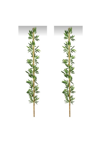 Rüzgar Yapay Çiçekçilik 2 Metre 2 Adet Bambu Yeşil
