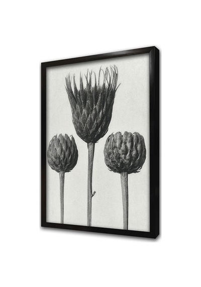 Siyah Beyaz Üçlü Çiçek Çerçeveli Mdf Tablo-172210