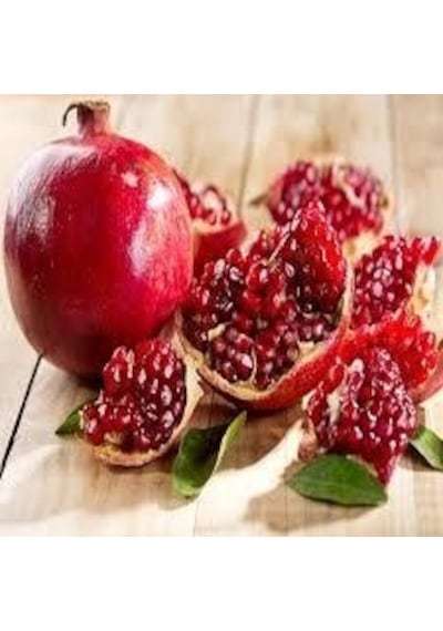 Tüplü Fidan Keben Nar Fidanları