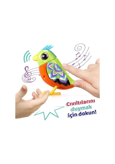 Dıgıbırds Teklı Paket Serı-2 Asortı 8'lı Dısplay Turuncu Yeş