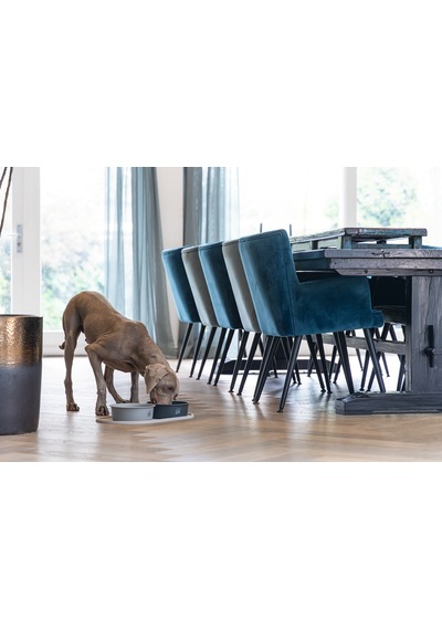 Beeztees Dbl Köpek Mama Su Kabı, Mat Siyah Paslanmaz Çelik, 20cm, 1,9l