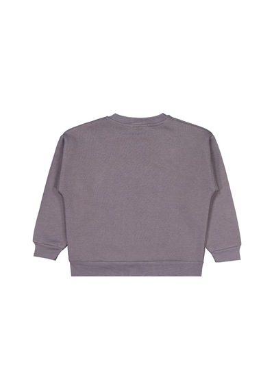 Civil Boys Banosome Baskılı 10-13 Yaş Sweatshirt - Gri Koyu Gri