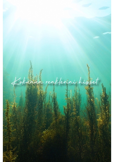 Deep Fresh Çubuklu Oda Kokusu Deniz Yosunu 100 Ml Deniz Yosunu