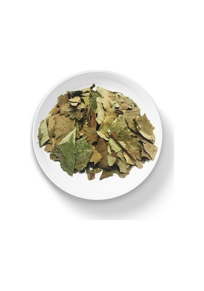 Organik Bitkim Avokado Yaprağı 500 G