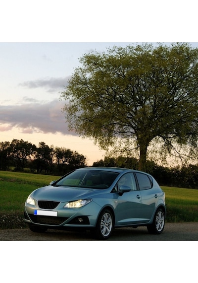 Sol Arka Cam Açma Düğmesi Seat Ibiza 2009-2012 7l6959855b