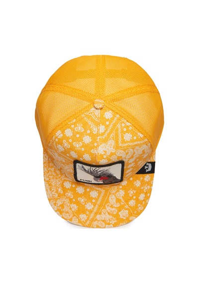 Goorin Bros. Spray Paint Arch Papağan Figürlü Şapka 101-0949