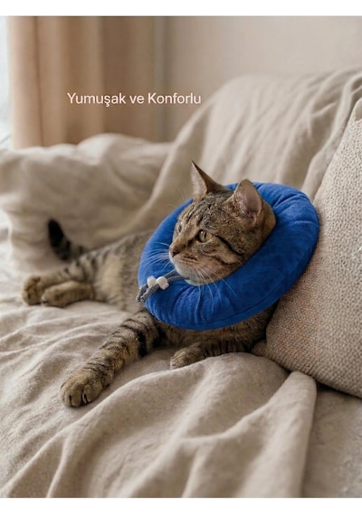 Elizabeth Yakalık Yumuşak Ayarlanabilir Kedi Köpek Koruyucu Boyunluk, Mavi, M Beden
