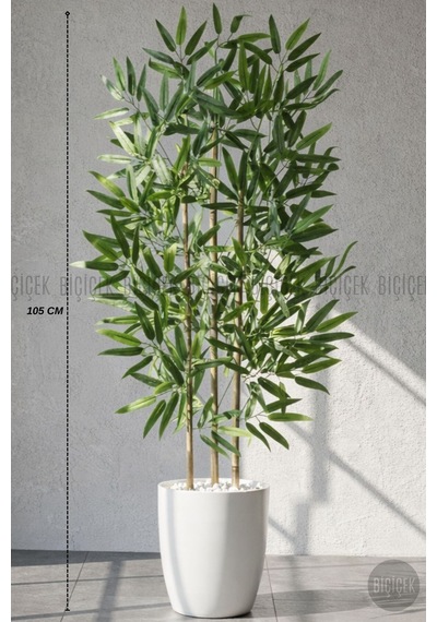 110 Cm Bambu Ağacı Beyaz Yakut Saksıda Bej