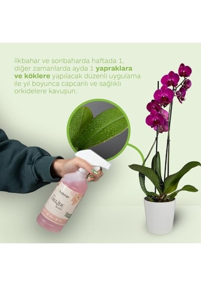 Ayrex Genta Hobitar Orkide Besini Vitamini 500 Ml -%100 Doğal, Çiçeklendirici Ve Köklendirici Formül Diğer