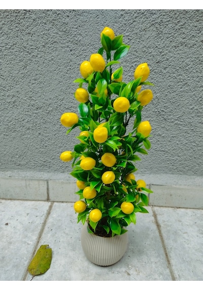 Limon Ağacı Mutfak Süsü Bej Beyaz Saksıda Yapay Çiçek